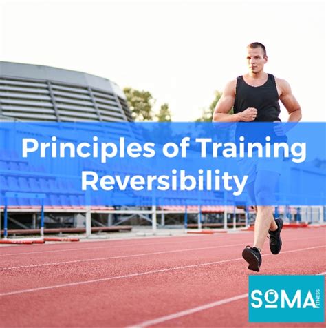 what is reversibility in fitness|Reversibility – Introduction to Exercise Science for Fitness Professionals.